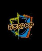 100.00  Bospop camper ticket en campeerticket samen, Eén persoon