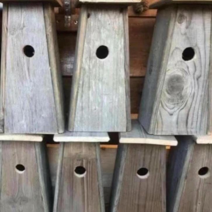 Vogelhuisjes voor kool- en pimpelmees, Tuin en Terras, Vogelhuisjes en Vogelbaden, Nieuw, Ophalen of Verzenden