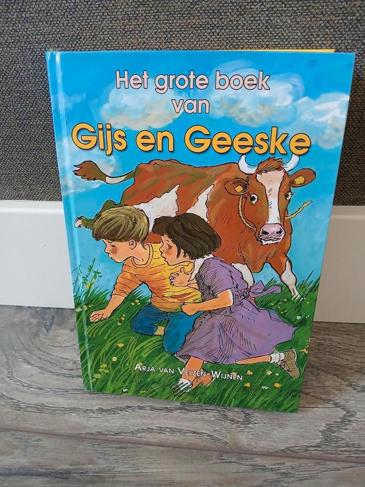 Gijs en geeske dik boek, Boeken, Kinderboeken | Jeugd | onder 10 jaar, Gelezen, Fictie algemeen, Ophalen of Verzenden
