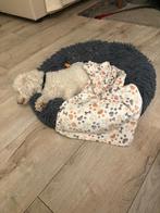 Hond, 6 jaar of ouder, Particulier, Buitenland, Eén hond