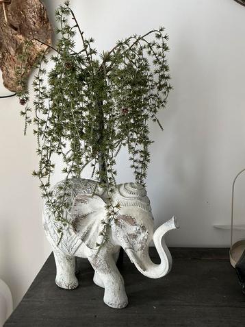 Kerst wilg boompje beschikbaar voor biedingen