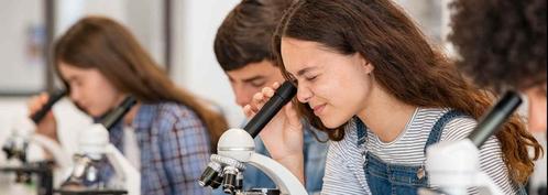 Docent Nask, Vacatures, Vacatures | Onderwijs, Wetenschap en Onderzoek, HBO, Vanaf 3 jaar, Freelance of Uitzendbasis, 25 - 32 uur