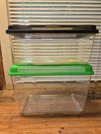 2 transparante "bakken" / vervoersbox voor reptielen., Dieren en Toebehoren, Reptielen en Amfibieën | Toebehoren, Ophalen, Gebruikt