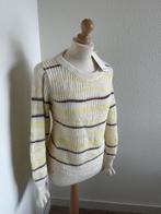 Fabienne Chapot maat XL Sun pullover Nieuw 271, Kleding | Dames, Truien en Vesten, Beige, Maat 46/48 (XL) of groter, Nieuw, Ophalen of Verzenden