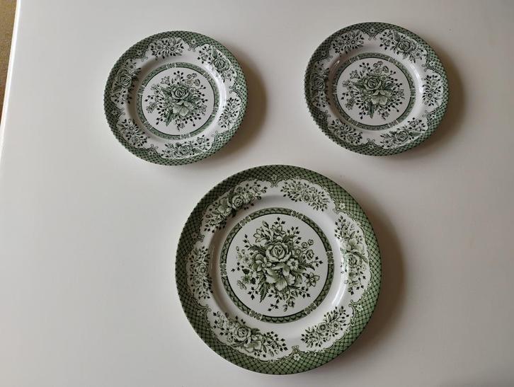 Nieuw plat bord, dinerbord groen rozen, bloemen Woods & Sons, Huis en Inrichting, Keuken | Servies, Nieuw, Bord(en), Overige stijlen