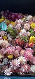 Grote set gedroogde bloemen, Droogbloemen en decoratiespul, Ophalen, Zo goed als nieuw