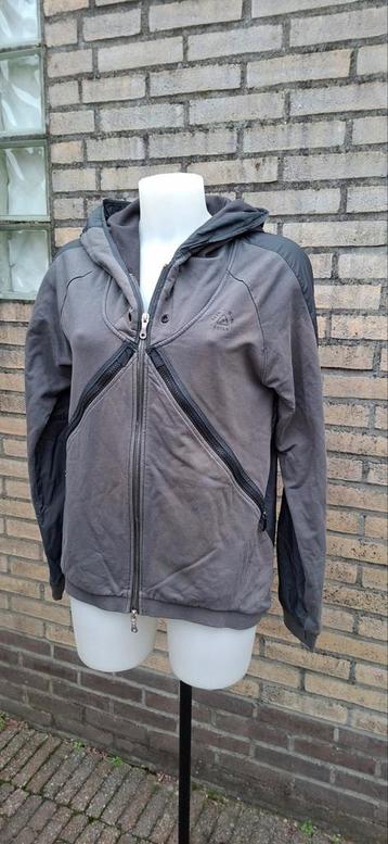 Grijs (wandel) vest G-star Raw maat L.
Gedragen maar nog in  beschikbaar voor biedingen