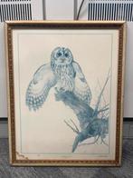 Brocante lijsten / vogelplaat uilen, Ophalen of Verzenden