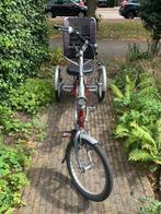 Driewieler, Easyrider Van Raam, Ophalen, Gebruikt, Van Raam