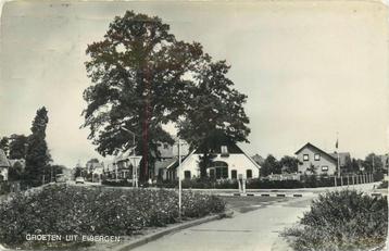 (378-348-003) Eibergen Groeten uit beschikbaar voor biedingen