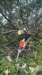 Boomverzorgering en kappen, Tuin en Terras, Haardhout, Ophalen of Verzenden