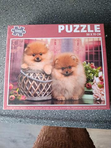 Puzzel 1000 stukjes - Pomeriaan pups beschikbaar voor biedingen