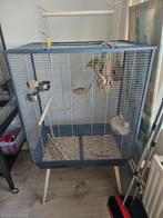 Grote vogelkooi, Ophalen of Verzenden, Zo goed als nieuw, Vogelkooi, Metaal
