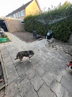 Gratis tegels, Tuin en Terras, Ophalen of Verzenden