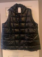 Bodywarmer grote maat 56, Kleding | Dames, Bodywarmers, Zwart, Maat 46/48 (XL) of groter, Ophalen of Verzenden, Nieuw