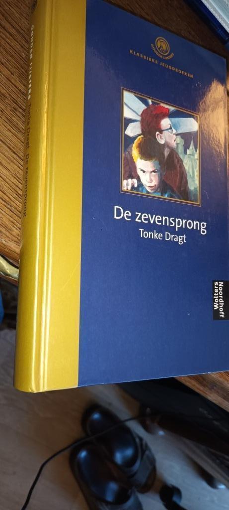 Dragt, Tonke	- De Zevensprong  (Gouden Lijsters), Boeken, Kinderboeken | Jeugd | 10 tot 12 jaar, Gelezen, Ophalen of Verzenden