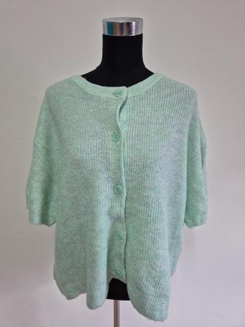 Trui22 - Mintgroene Hema trui maat M valt als XL (1) beschikbaar voor biedingen