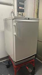 Liebherr comfort koelkast, Witgoed en Apparatuur, Koelkasten en IJskasten, Zo goed als nieuw, 45 tot 60 cm, Met vriesvak, Ophalen