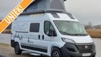 Bürstner Campeo C 600 Black Forest, Bus-model, Bedrijf, Diesel, Bürstner