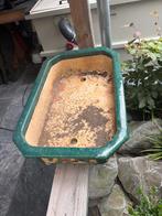 Bondai pot groot 60x 40, Ophalen of Verzenden, Rond, Minder dan 60 cm, Minder dan 30 cm