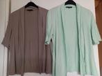2 x mooi dames vest (6 euro per stuk), Kleding | Dames, Overige Dameskleding, Ophalen of Verzenden, Gedragen
