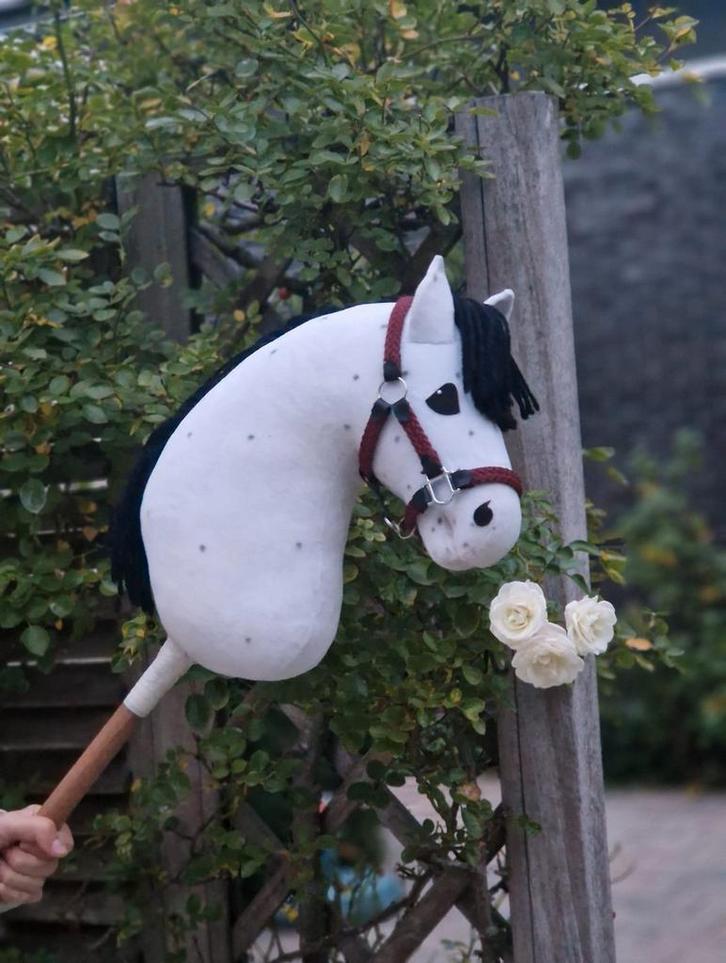 TSW hobbyhorse tekoop!, Hobby en Vrije tijd, Overige Hobby en Vrije tijd, Ophalen of Verzenden