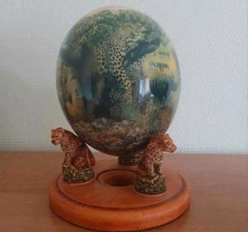 Struisvogel  , struis vogel ei big five afrika  , afrikaanse beschikbaar voor biedingen