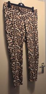 Nieuwe Tregging Maat 46/48 Panterprint, Ophalen of Verzenden