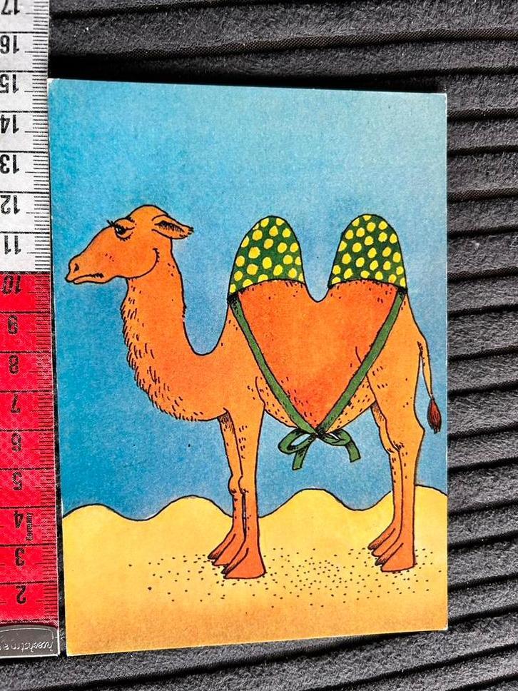 739. Kaart illustr Kameel met BH op zijn bulten, Verzamelen, Ansichtkaarten | Themakaarten, Ongelopen, Ophalen of Verzenden