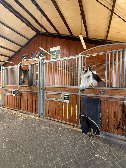 Stalling aangeboden!, Dieren en Toebehoren, Stalling en Weidegang, Stalling