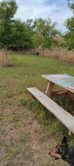 kleinschalige opvang - R U S T I G E roedel ., Diensten en Vakmensen, Particuliere oppas