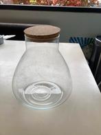 Glazen Vaas / Ecosysteem Plant, Ophalen, Overige kleuren, Minder dan 50 cm, Glas