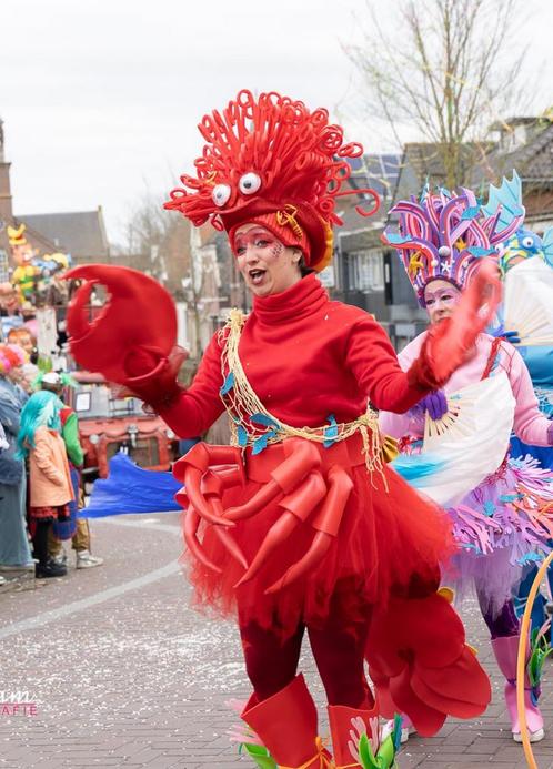 Foamkostuums zeedieren, Kleding | Dames, Carnavalskleding en Feestkleding, Zo goed als nieuw, Ophalen