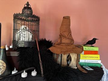 Harry Potter decoratie verhuur feestje beschikbaar voor biedingen