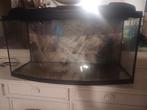 Te koop aquarium, Dieren en Toebehoren, Ophalen, Zo goed als nieuw