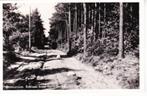OOTMARSUM,- Boslaan naar Springendal.   08-10, Verzenden, 1940 tot 1960, Gelopen, Overijssel