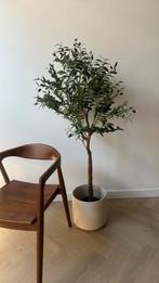 Olijfboom + beige pot 150cm, Huis en Inrichting, Woonaccessoires | Zuilen en Pilaren, Ophalen, Zo goed als nieuw