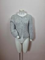 Inti vest baby alpaca maat L  Nieuwstaat!!, Kleding | Dames, Maat 42/44 (L), Ophalen of Verzenden, Zo goed als nieuw, Inti