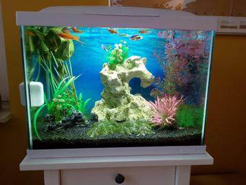 Aquarium compleet 45 Liter beschikbaar voor biedingen