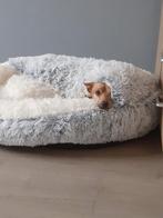 Nieuwe Cosy Cave hondenmand kattenmand poezenmand, Ophalen, Nieuw, Pluche