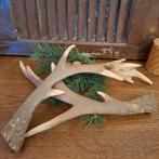 Set mooie geweien van massieve polyethyleen., Antiek en Kunst, Curiosa en Brocante, Ophalen of Verzenden