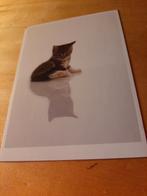 2 ansichtkaarten poezen, Verzenden, Voor 1920, Ongelopen, Hond of Kat