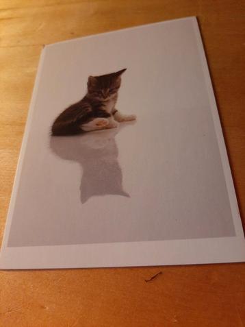 2 ansichtkaarten poezen beschikbaar voor biedingen