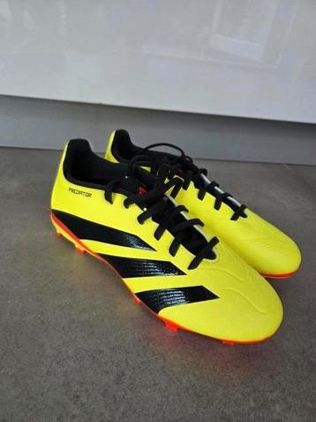 Voetbalschoenen Adidas Predator maat 36 2/3 NIEUW! beschikbaar voor biedingen