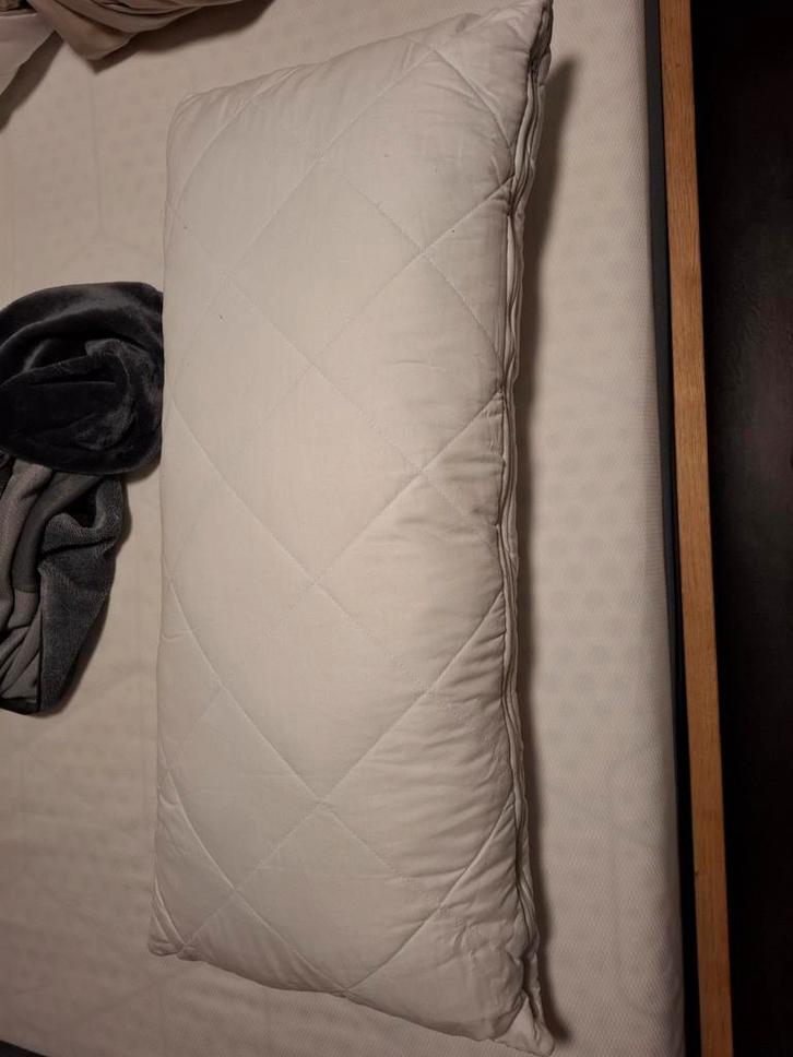 Nieuw Optidee Kussen - Comfort en kwaliteit, Huis en Inrichting, Slaapkamer | Beddengoed, Nieuw, Kussen, Eenpersoons, Wit, Ophalen of Verzenden