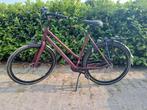 Dames fiets Nieuw!, Ophalen, Batavus, Nieuw, 56 cm of meer