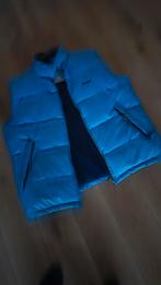 Gaastra bodywarmer heren xxl, Ophalen of Verzenden, Gedragen, Overige maten, Blauw