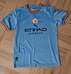 Puma Manchester voetbalshirt L, Sport en Fitness, Voetbal, Ophalen of Verzenden, Zo goed als nieuw, Shirt