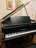 Bluthner Vleugel 1865, Muziek en Instrumenten, Piano's, Ophalen of Verzenden, Zo goed als nieuw, Zwart, Vleugel