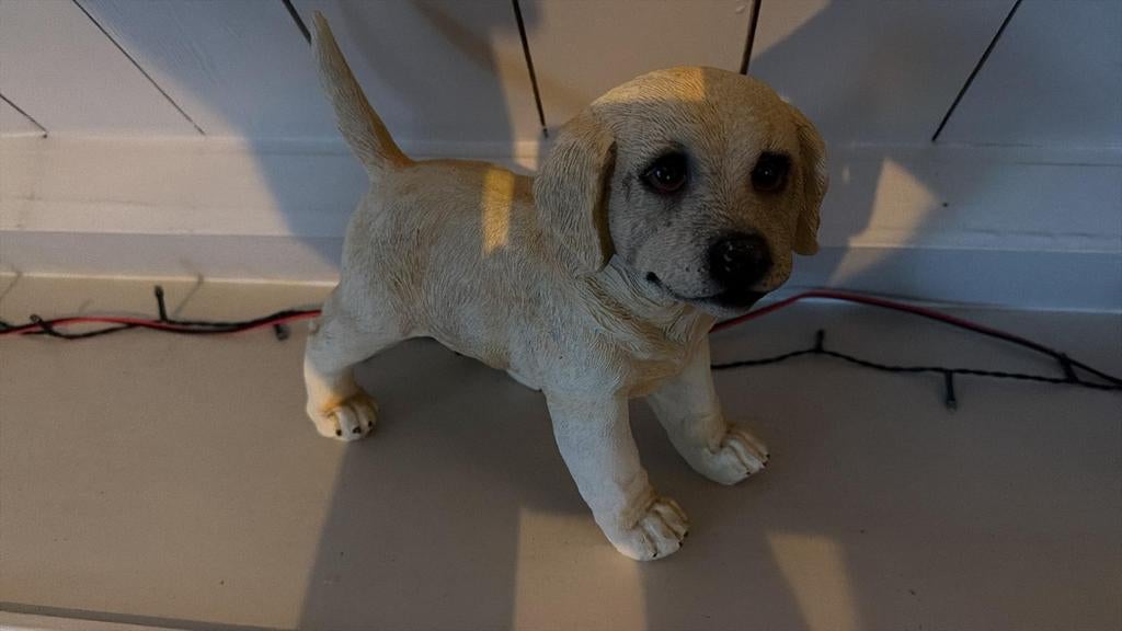 Schattig Hondenbeeldje - Tuindecoratie, Ophalen of Verzenden, Zo goed als nieuw, Kunststof, Dierenbeeld